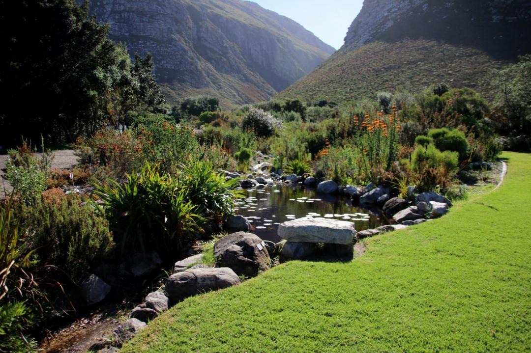 Photo of Others in Betty's Bay
