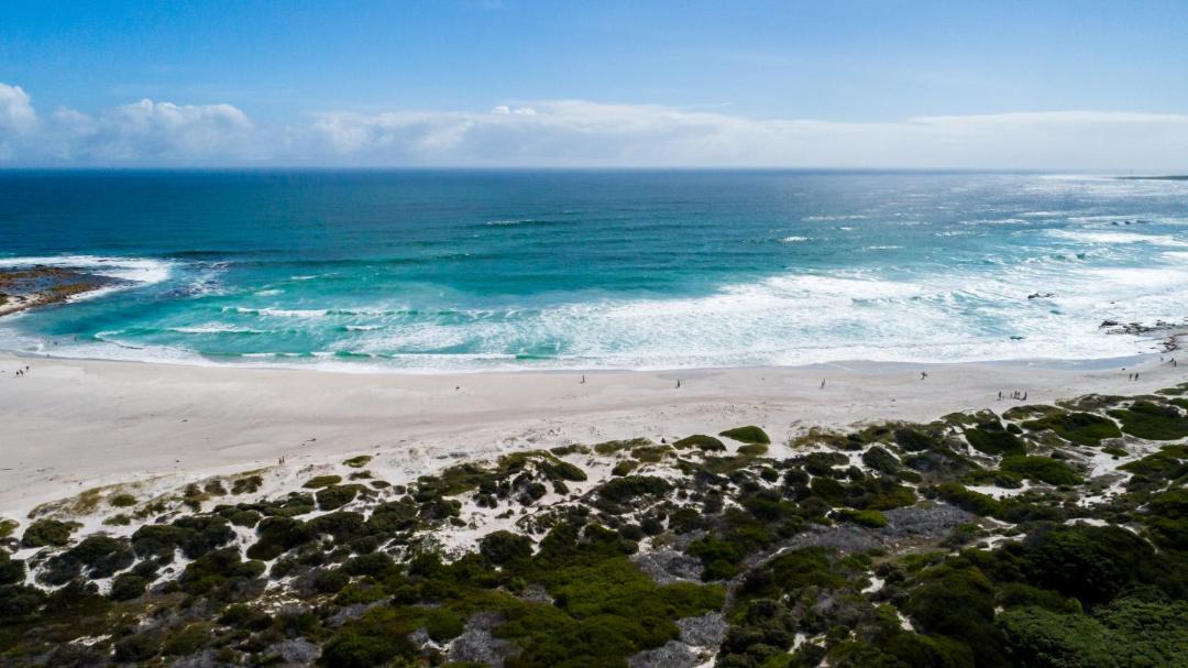 Photo of Others in Cape Peninsula