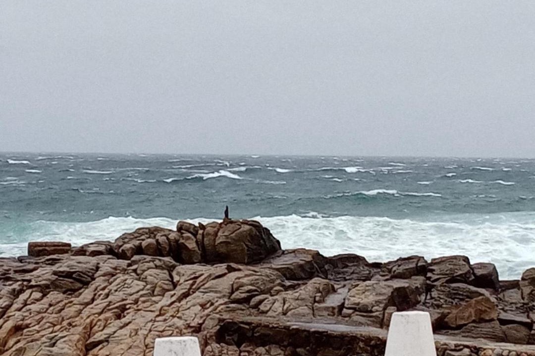 Photo of Others in Mossel Bay