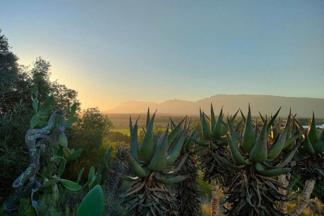 Photo of Others in Swellendam