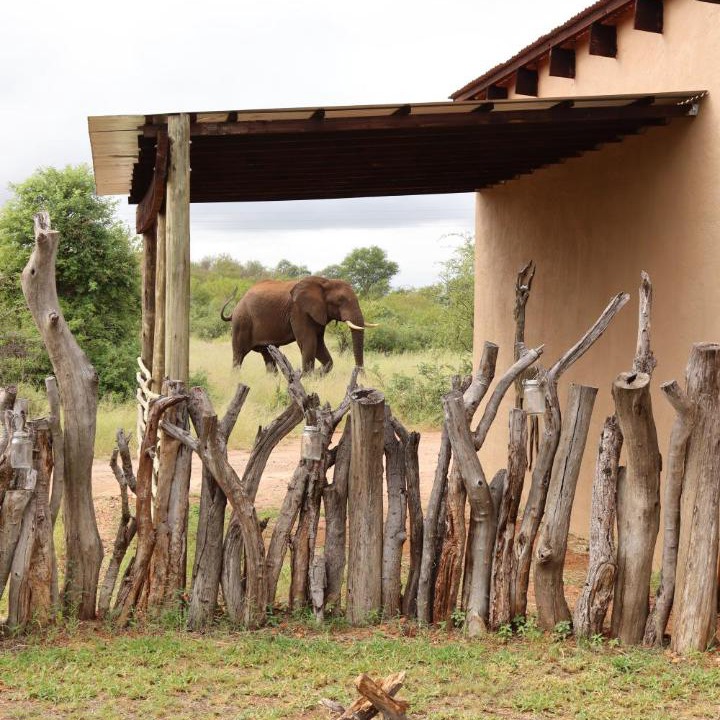 Photo of Others in Phalaborwa