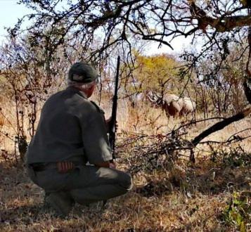 Photo of Human In Picture in Hammanskraal