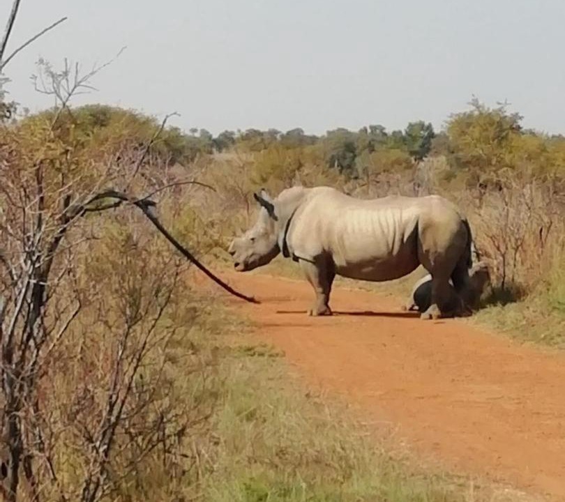 Photo of Others in Hammanskraal