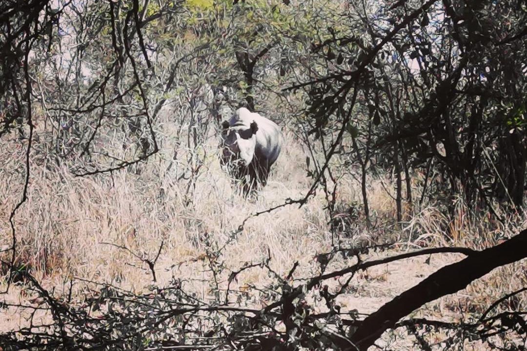 Photo of Others in Hammanskraal