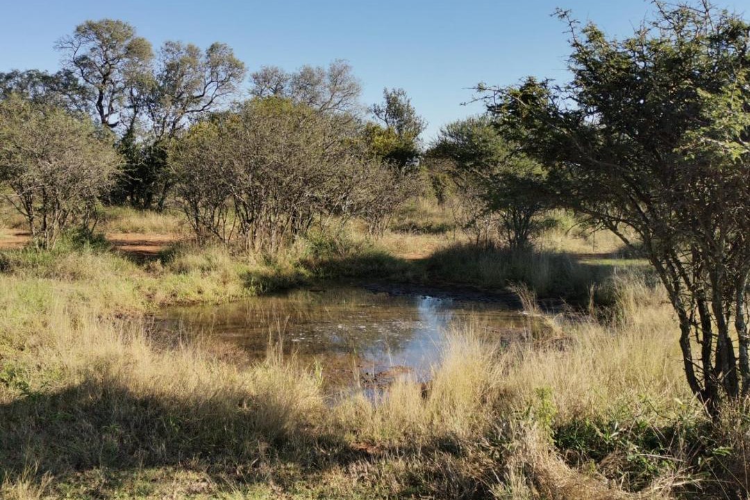 Photo of Outdoor in Hammanskraal