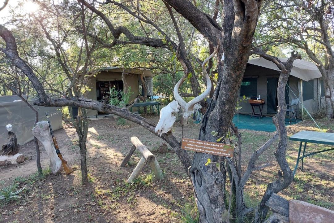 Photo of Others in Hammanskraal