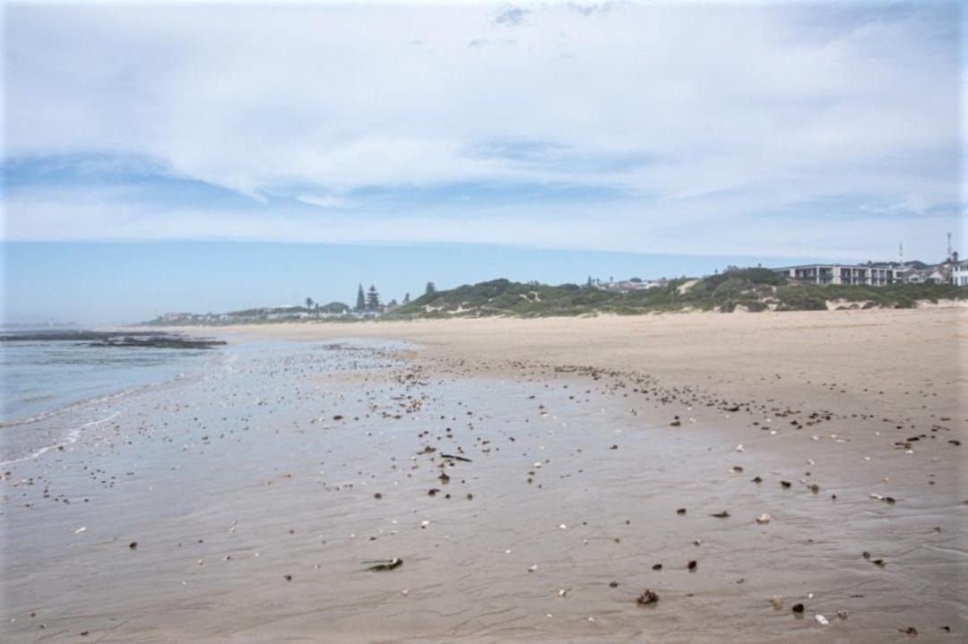Photo of Others in Jeffreys Bay