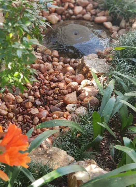 Photo of Others in Greater Johannesburg Metropolitan Area