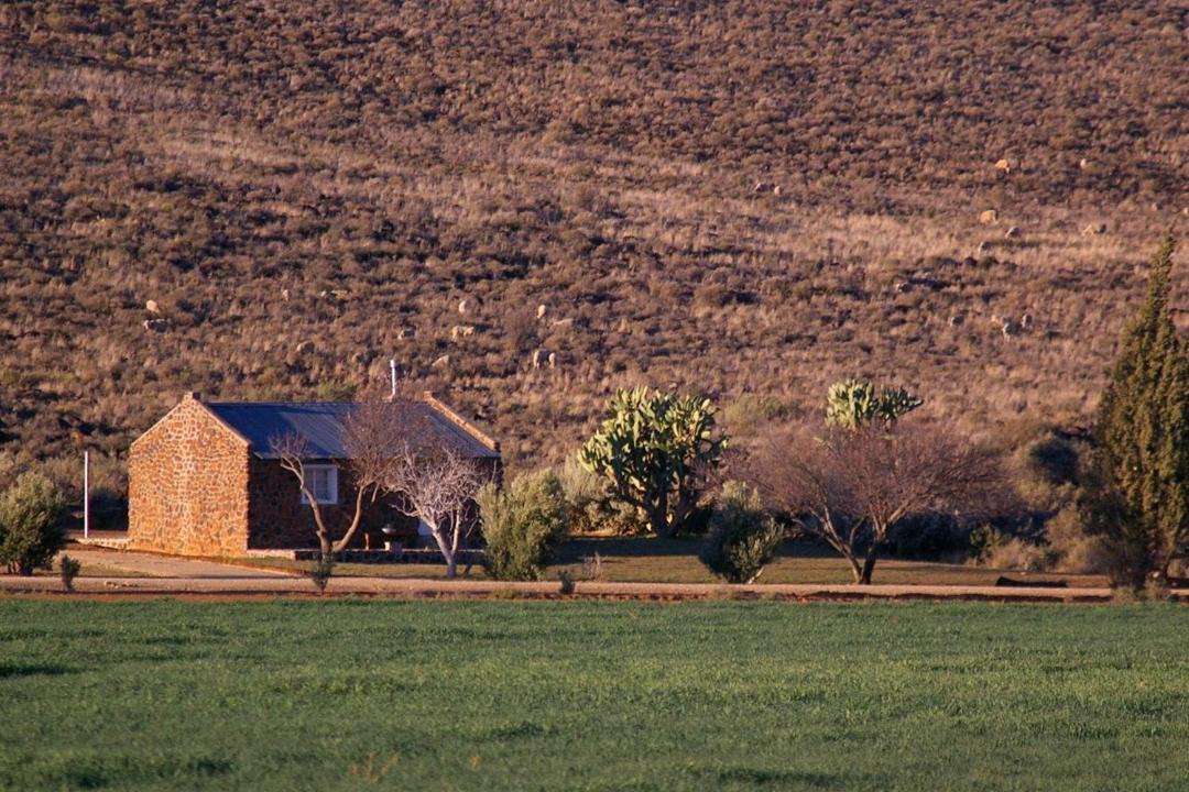 Photo of Others in Kareeberg
