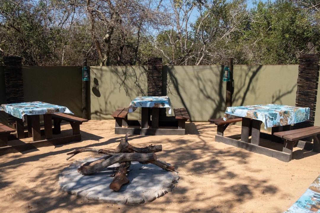 Photo of Others in Thorny Bush Game Reserve