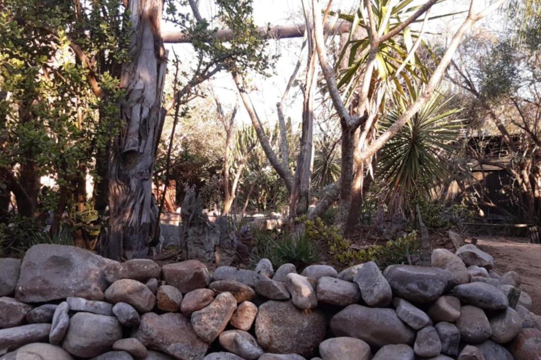 Photo of Others in Thorny Bush Game Reserve