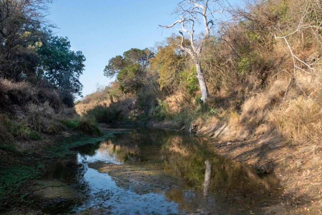 Photo of Others in Thorny Bush Game Reserve