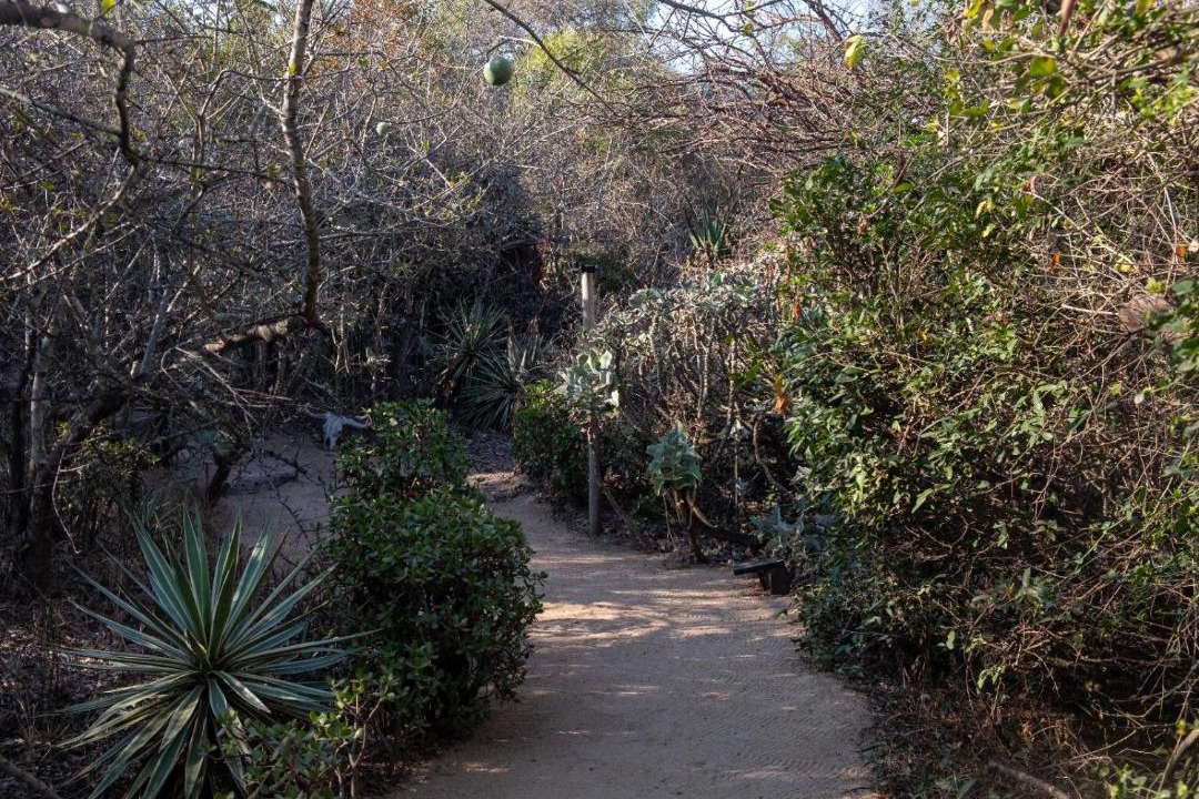 Photo of Others in Thorny Bush Game Reserve