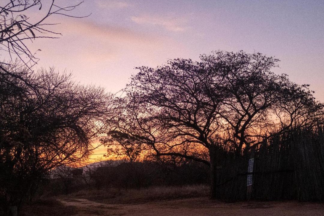 Photo of Others in Thorny Bush Game Reserve