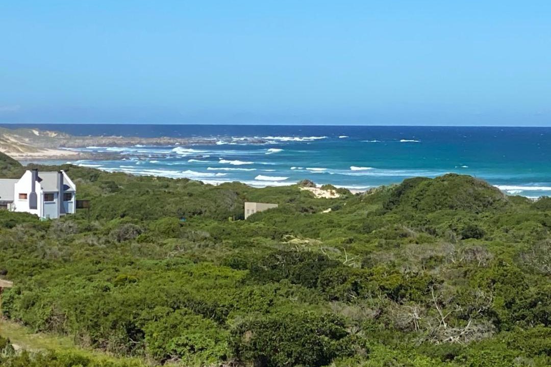 Photo of Others in Cape Saint Francis