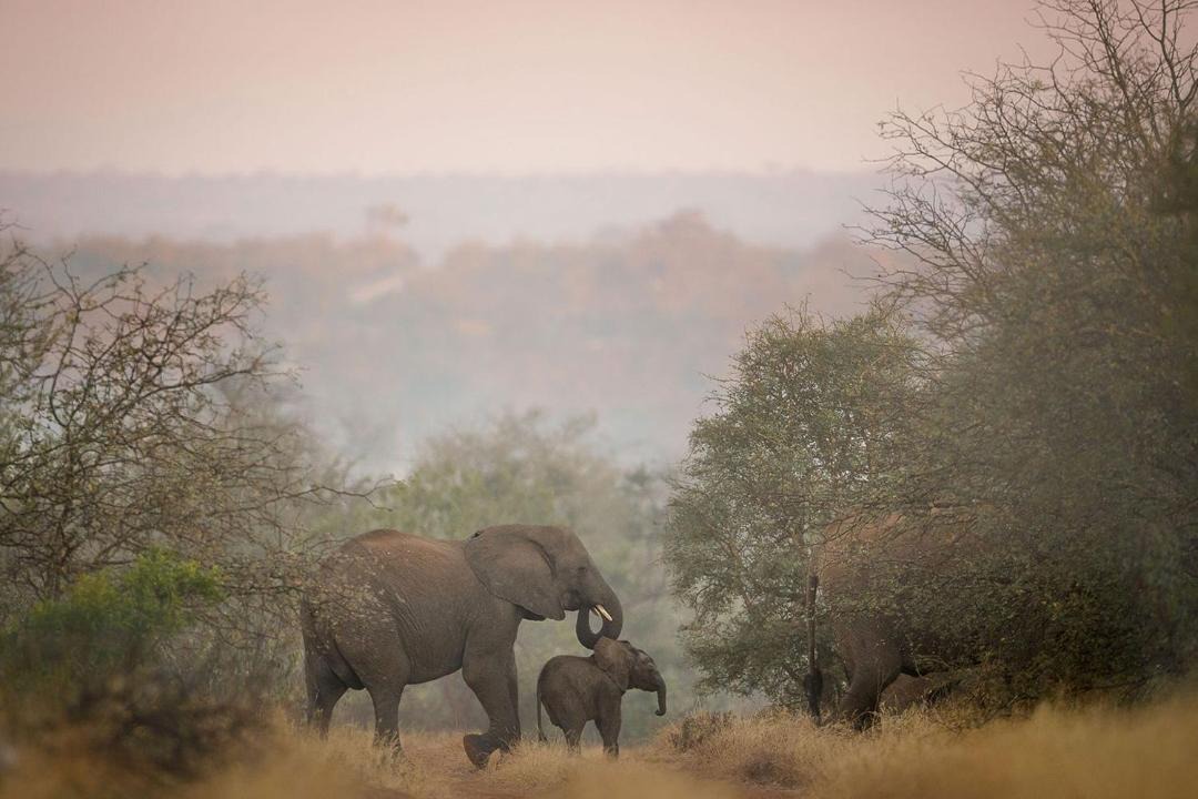 Photo of Outdoor in Kruger National Park