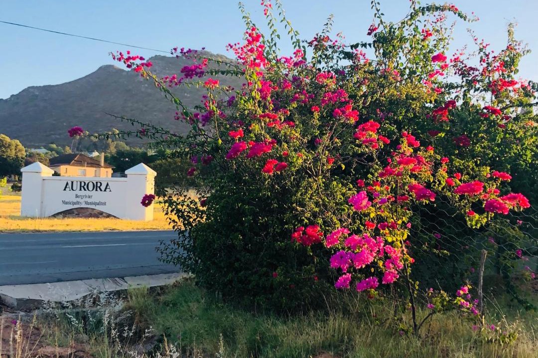 Photo of Others in Bergrivier