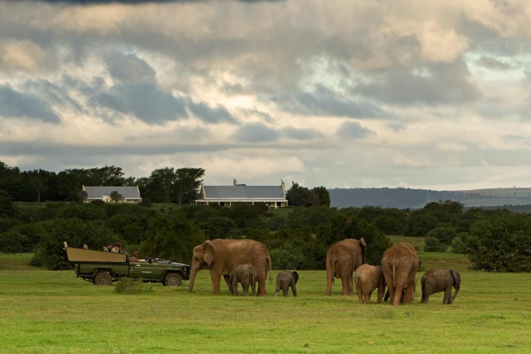Photo of Others in Addo