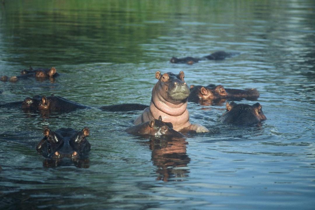 Photo of Others in Komatipoort