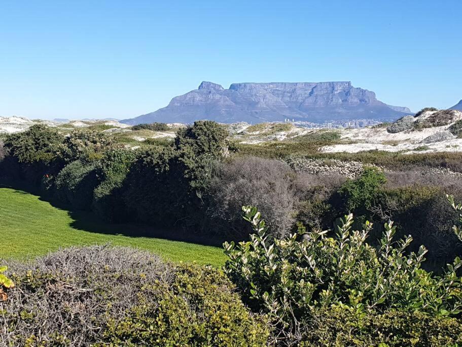 Photo of Others in Bloubergstrand