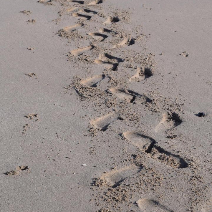 Photo of Others in Stompneusbaai
