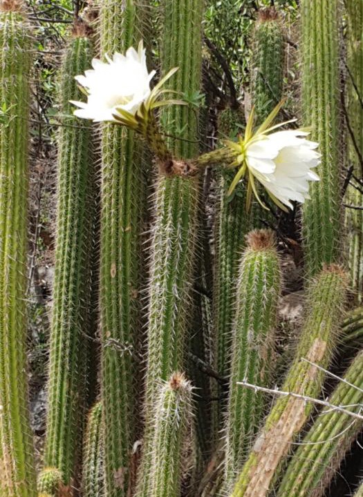Photo of Outdoor in Gariep