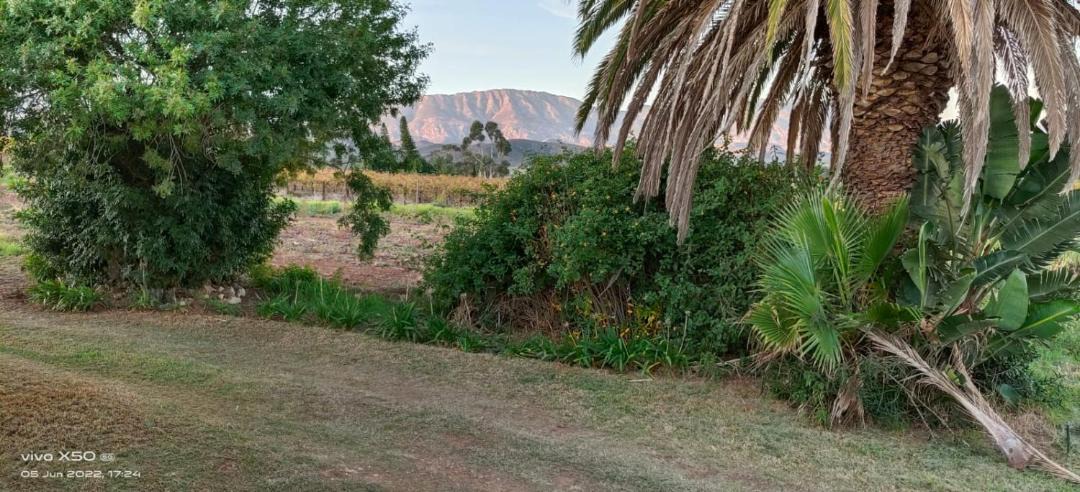 Photo of Others in Bonnievale