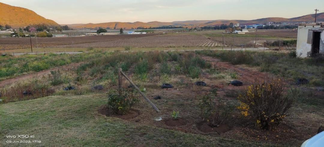 Photo of Others in Bonnievale