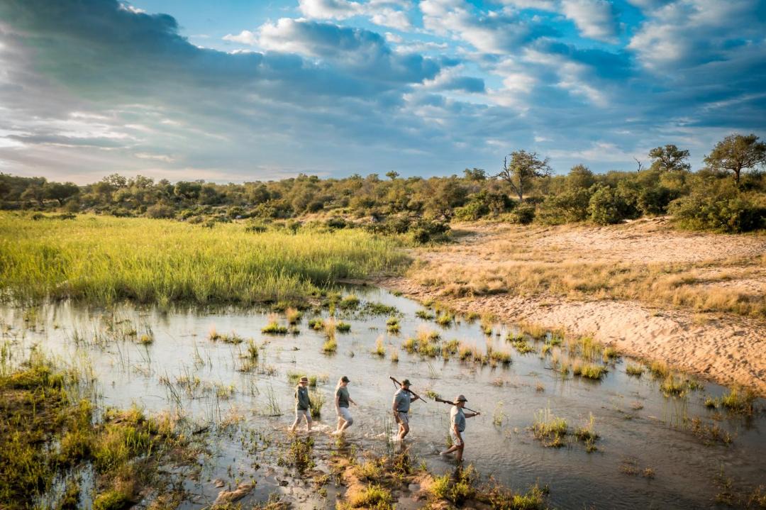 Photo of Others in Thorny Bush Game Reserve