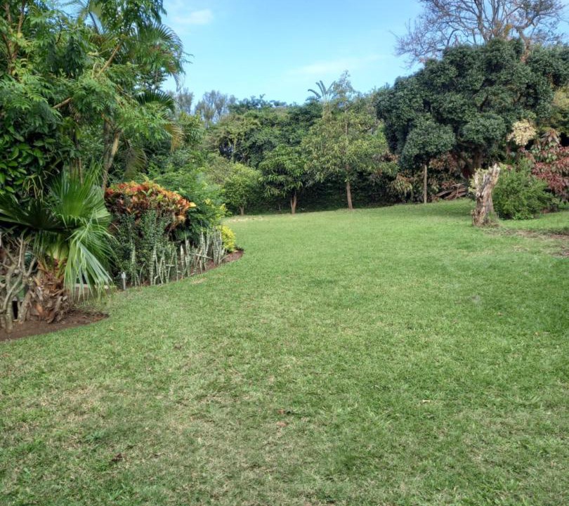 Photo of Others in Umkomaas