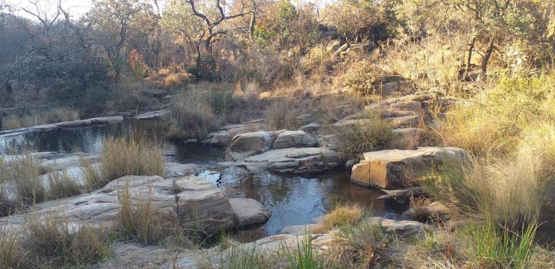 Photo of Others in Buffelspoort