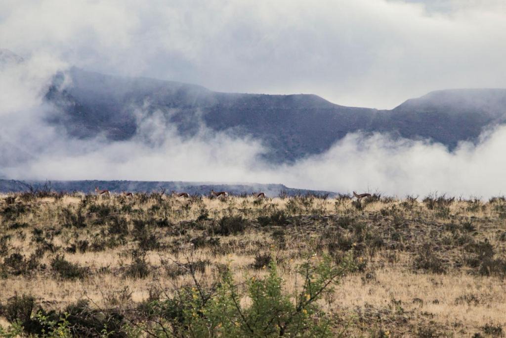 Photo of Others in Beaufort West