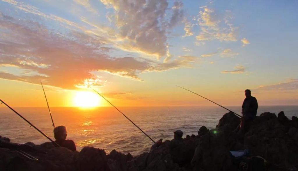 Photo of Others in Doringbaai