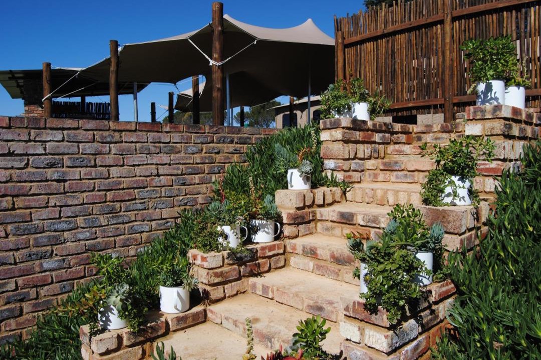 Photo of Others in Magaliesberg