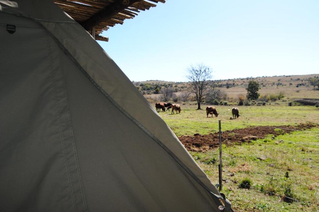 Photo of Others in Magaliesberg