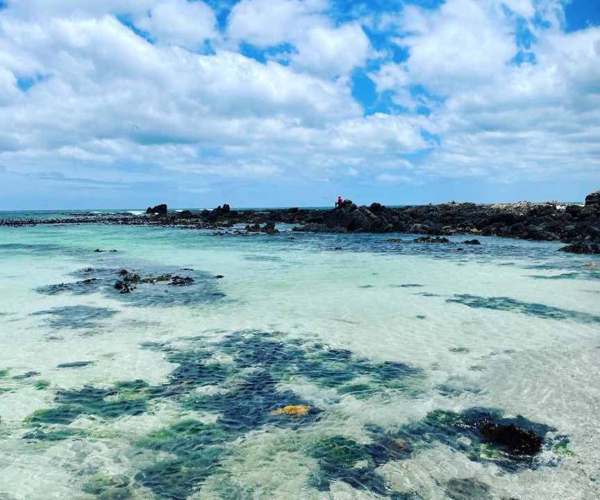 Photo of Others in Pearly Beach