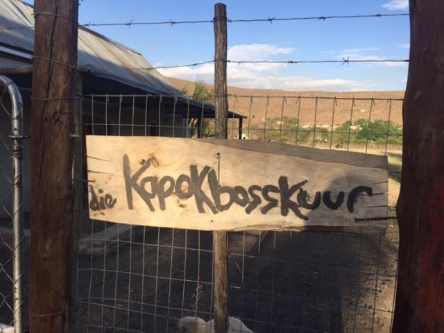 Photo of Others in Nieu-Bethesda