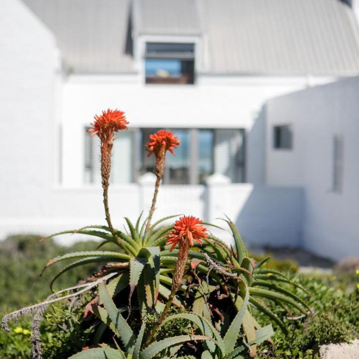 Photo of Others in Yzerfontein
