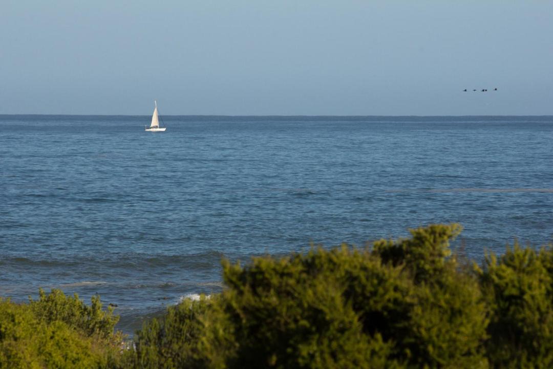 Photo of Others in Lambert's Bay
