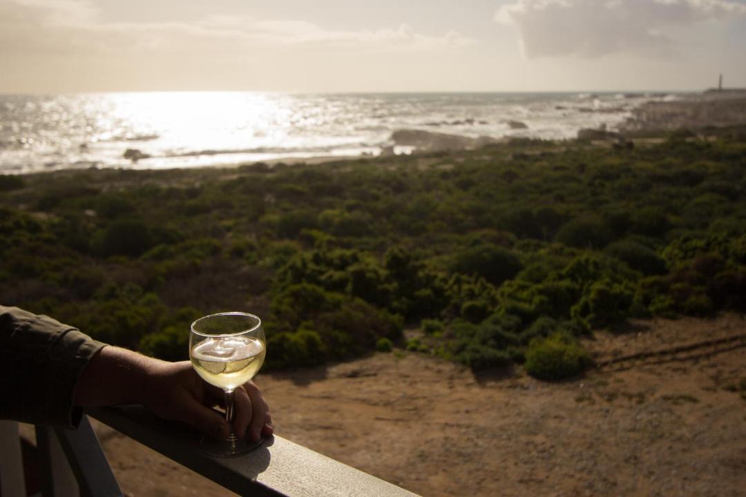 Photo of Others in Lambert's Bay