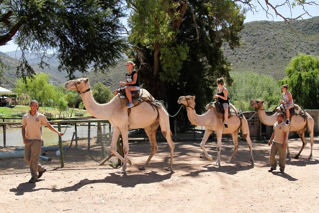 Photo of Others in Oudtshoorn