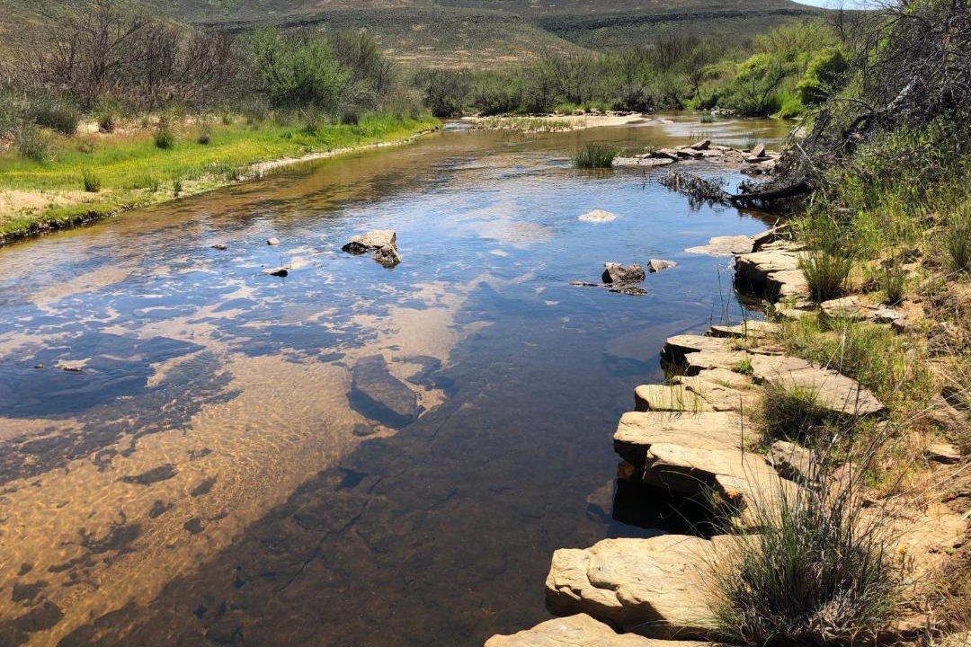 Photo of Others in Cederberg