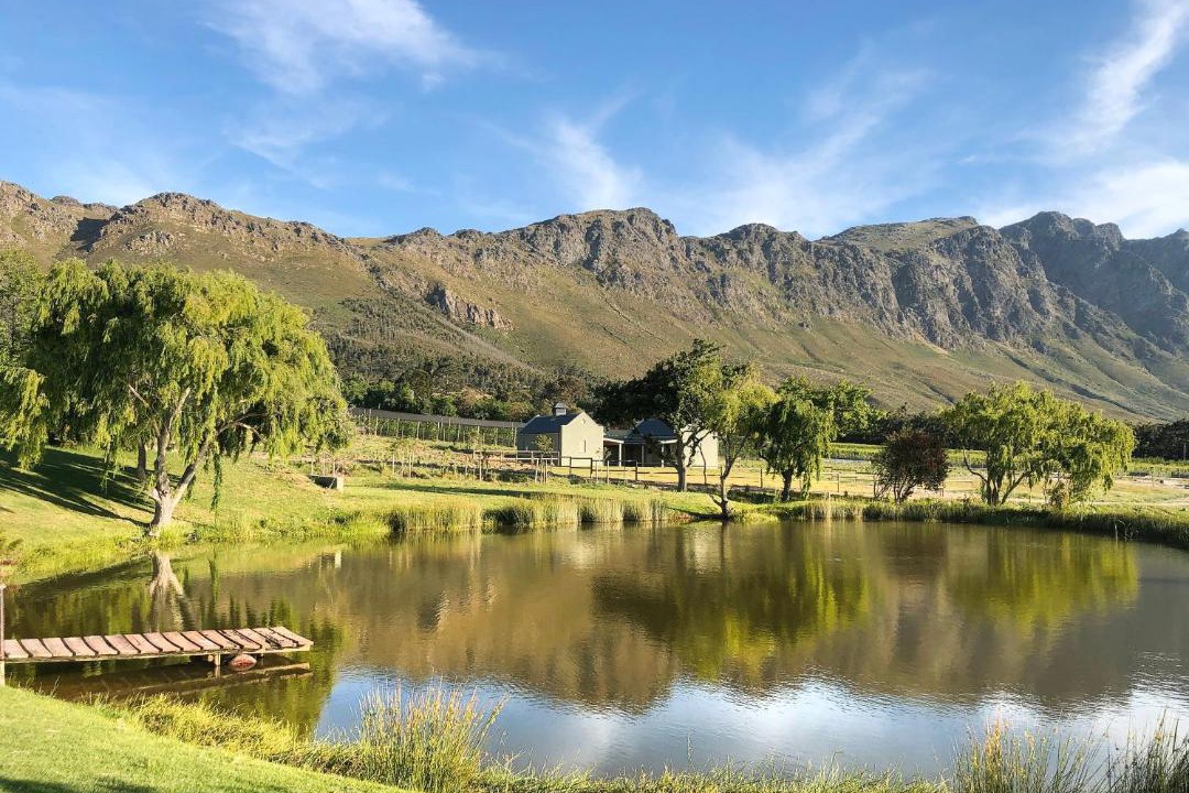 Photo of Others in Franschhoek