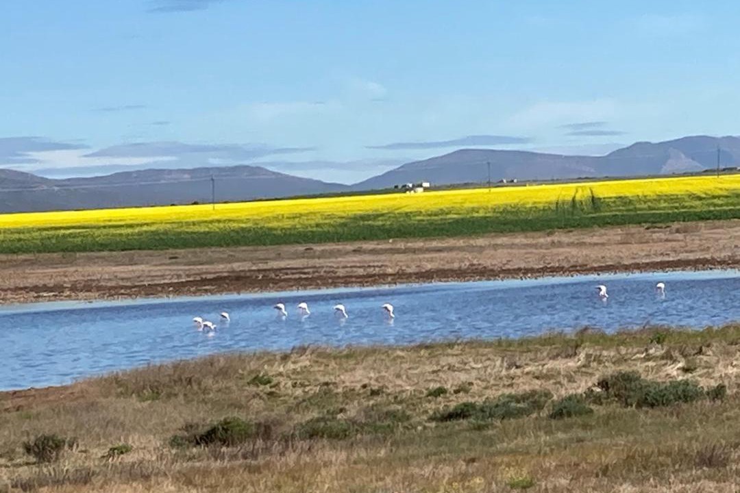 Photo of Others in Witsand