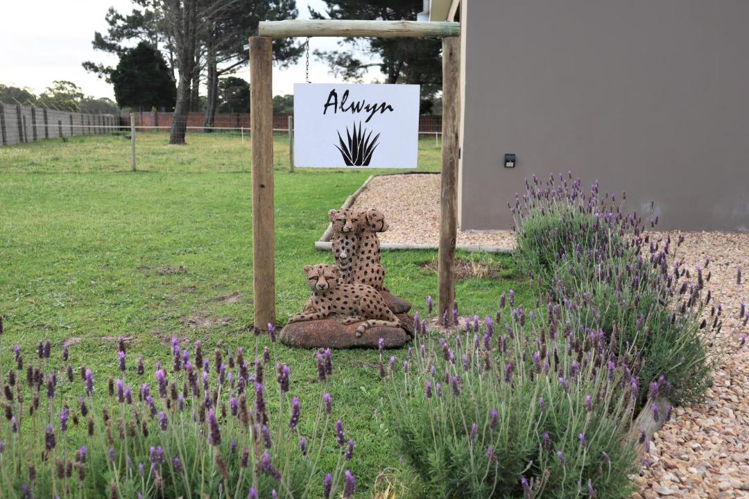 Photo of Others in Port Elizabeth