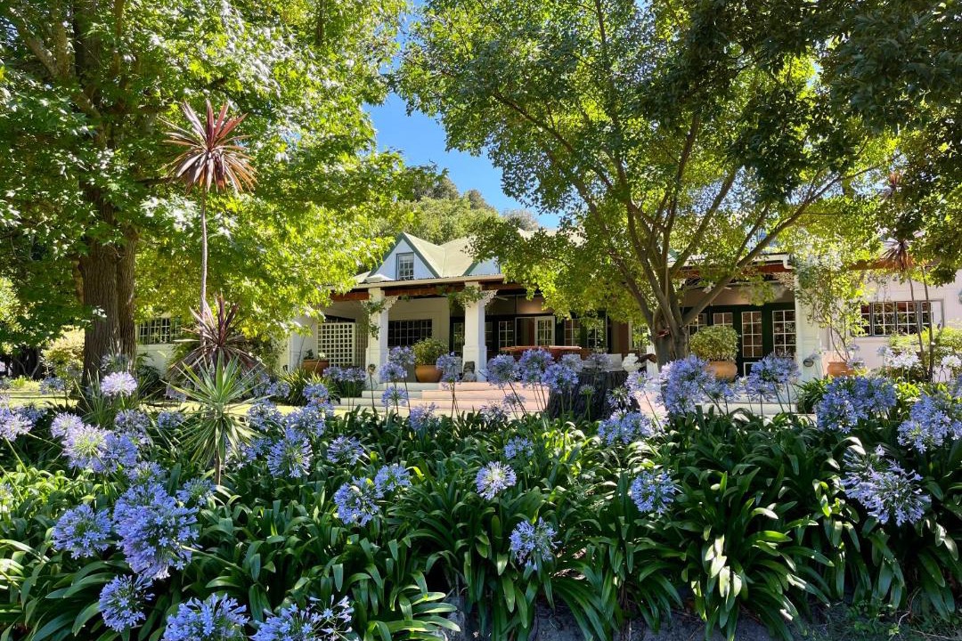 Photo of Others in Franschhoek