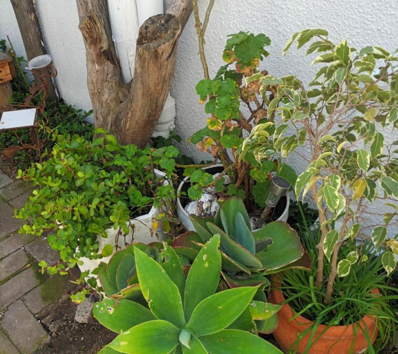 Photo of Others in Sandbaai