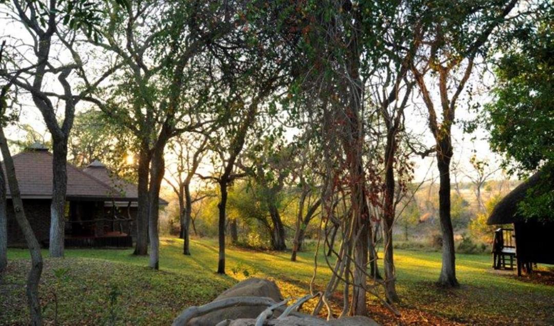 Photo of Others in Thorny Bush Game Reserve