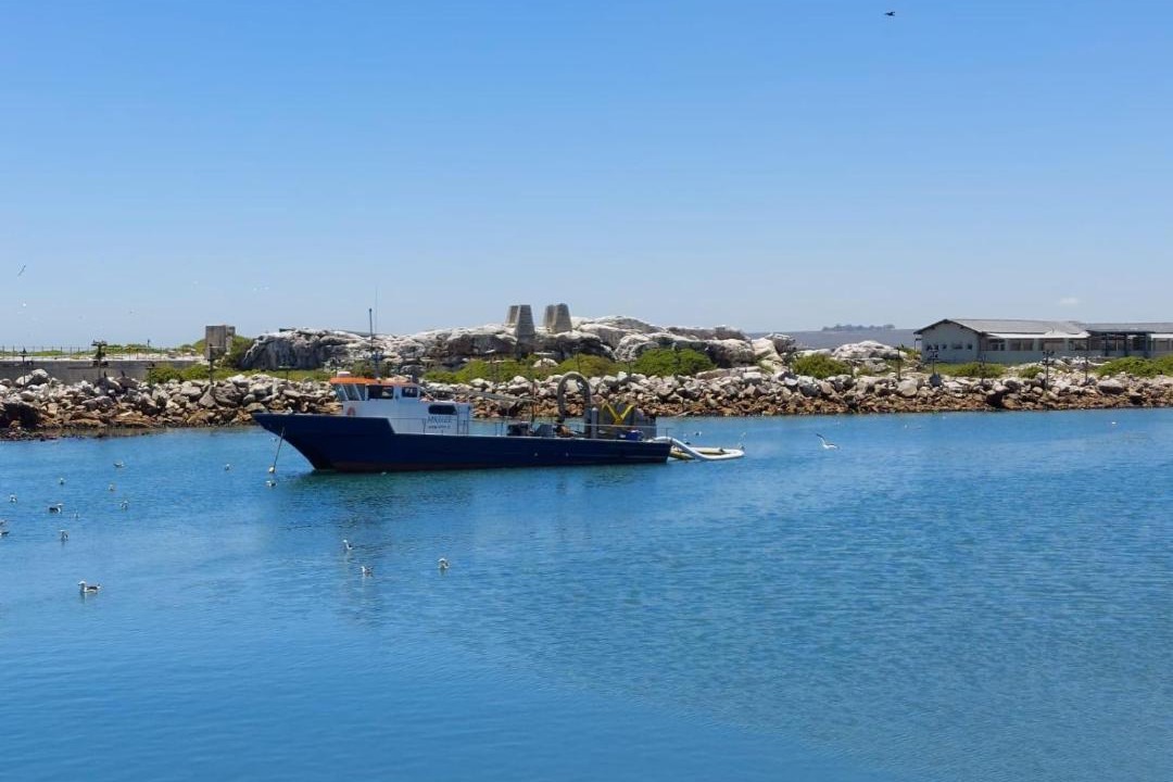 Photo of Others in Lambert's Bay