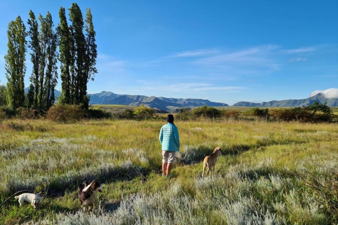 Photo of Others in Clarens